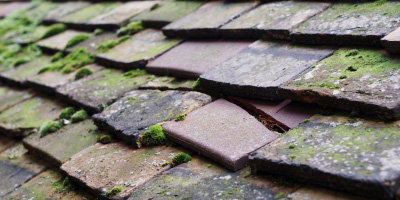 Harlton roof repair costs